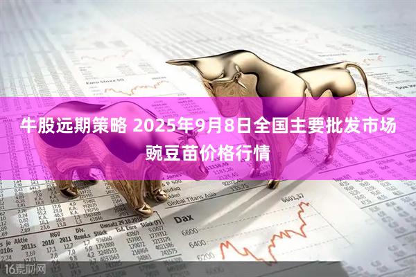 牛股远期策略 2025年9月8日全国主要批发市场豌豆苗价格行情
