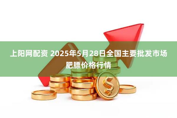 上阳网配资 2025年5月28日全国主要批发市场肥膘价格行情