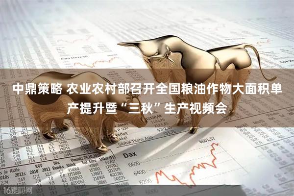 中鼎策略 农业农村部召开全国粮油作物大面积单产提升暨“三秋”生产视频会
