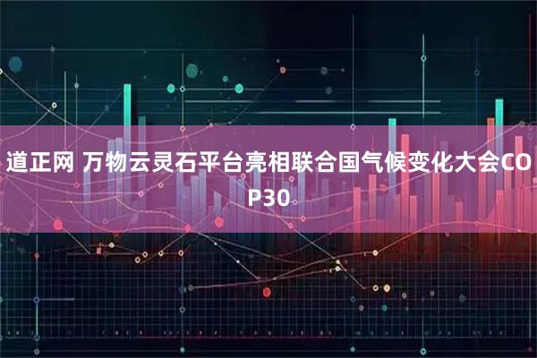 道正网 万物云灵石平台亮相联合国气候变化大会COP30