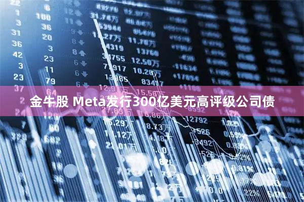 金牛股 Meta发行300亿美元高评级公司债